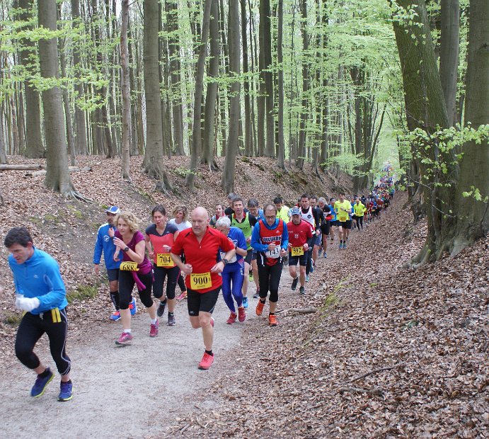 Hyacintenjogging 2016 - 113